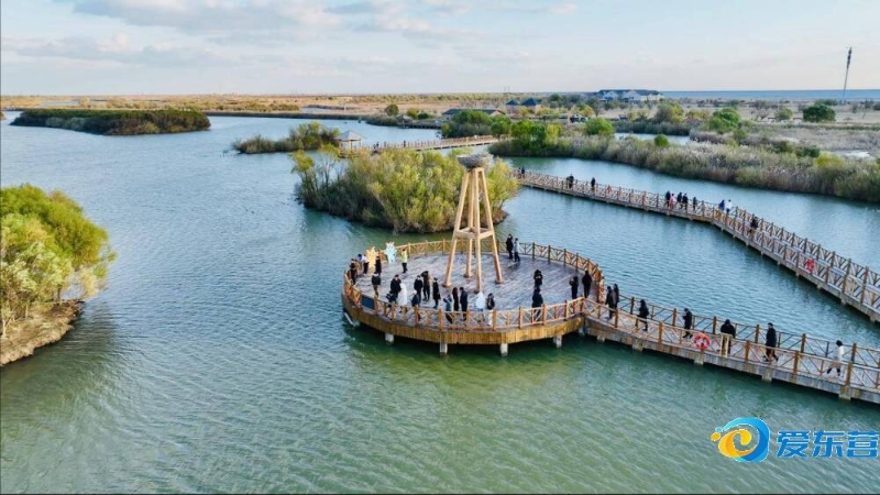 美元的续约 美元的续约