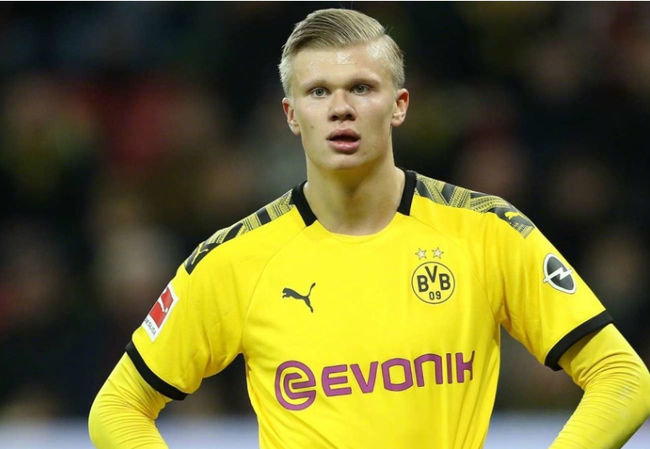 TL展现出 TL展现出